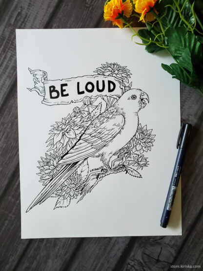 Be loud! King parrot